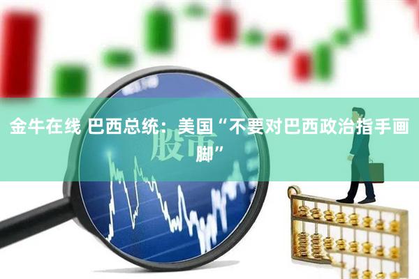 金牛在线 巴西总统：美国“不要对巴西政治指手画脚”