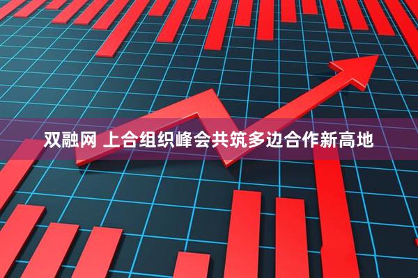 双融网 上合组织峰会共筑多边合作新高地